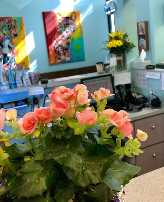 Pitts Veterinary Hospital Picture 9