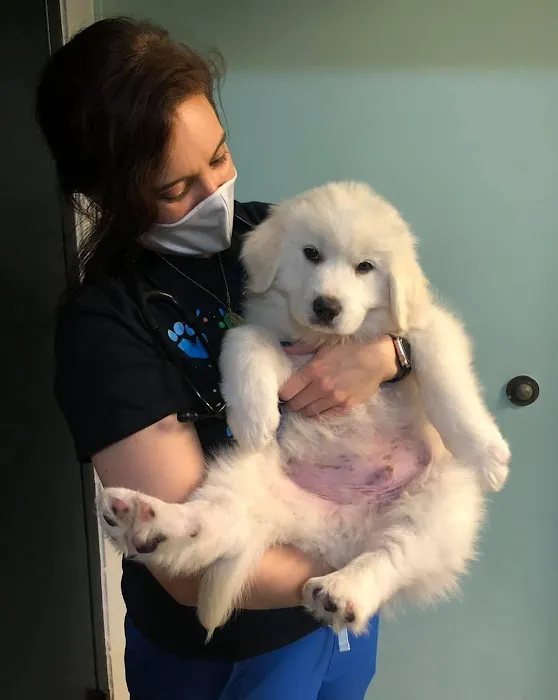 Pitts Veterinary Hospital Picture 8