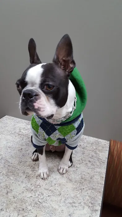 Eagle Animal Hospital and Pet Resort Picture 2