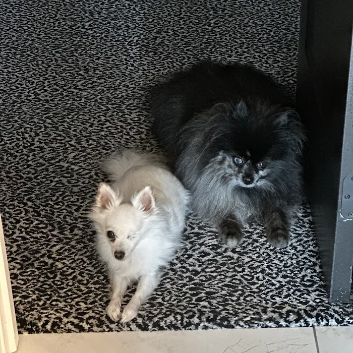 Eagle Animal Hospital and Pet Resort Picture 5