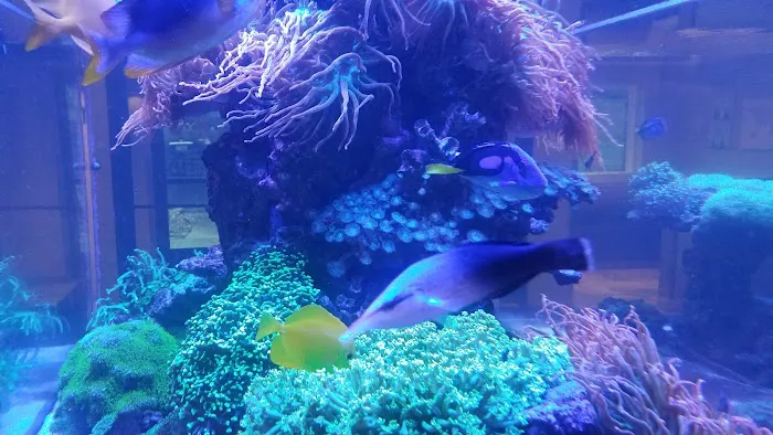 Eagle Animal Hospital and Pet Resort Picture 7