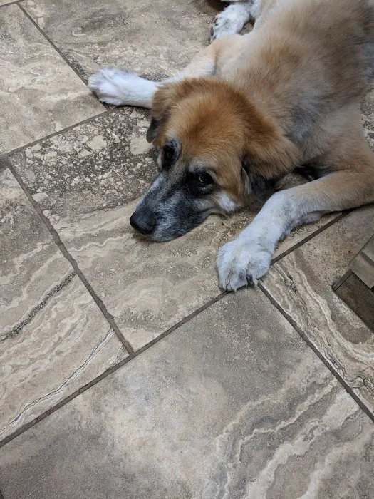 Eagle Animal Hospital and Pet Resort Picture 6