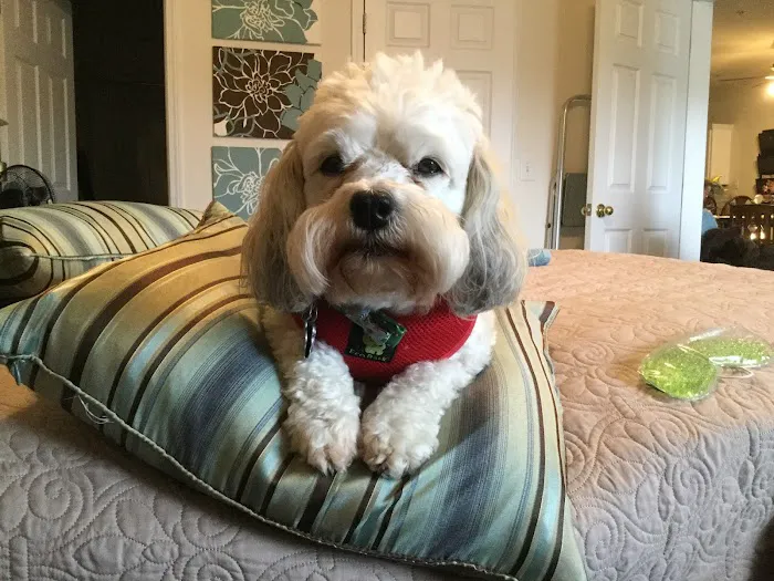 Eagle Animal Hospital and Pet Resort Picture 8