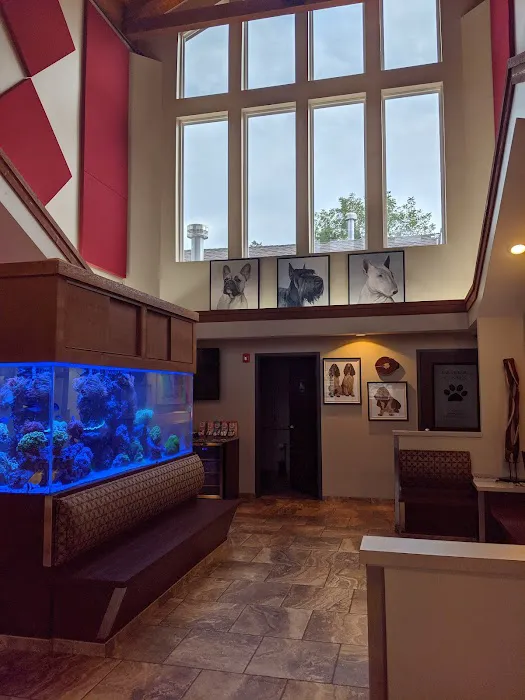 Eagle Animal Hospital and Pet Resort Picture 9