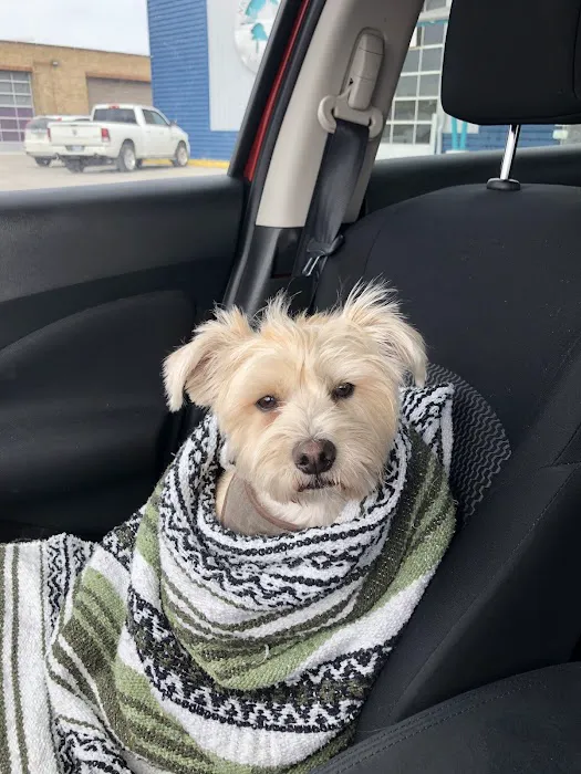 NKC Animal Clinic & Daycare Picture 1