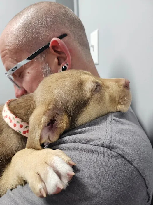 NKC Animal Clinic & Daycare Picture 3