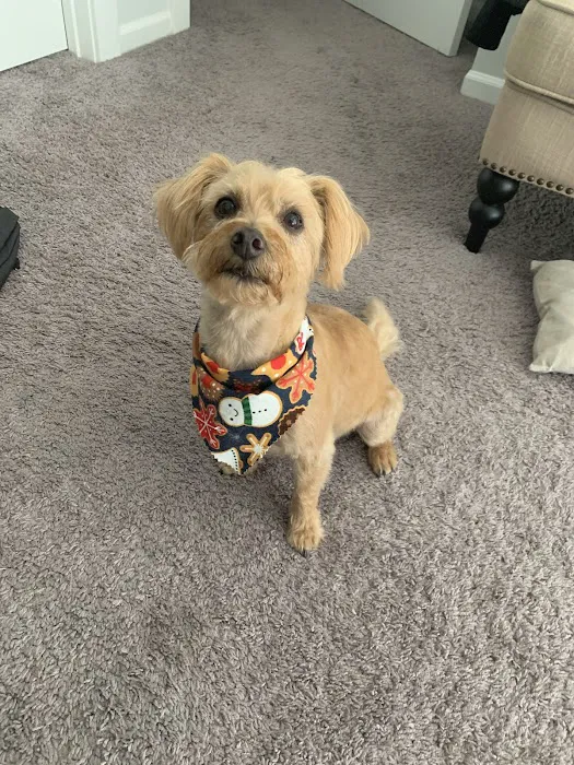 NKC Animal Clinic & Daycare Picture 4