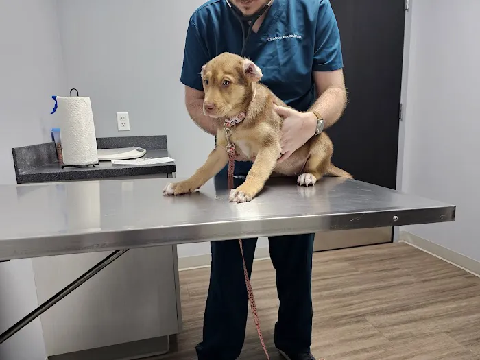 NKC Animal Clinic & Daycare Picture 5