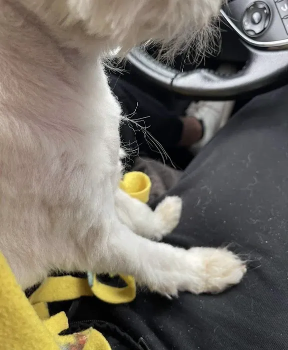 NKC Animal Clinic & Daycare Picture 8