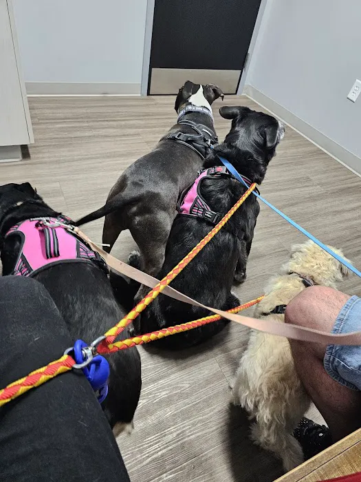 NKC Animal Clinic & Daycare Picture 7