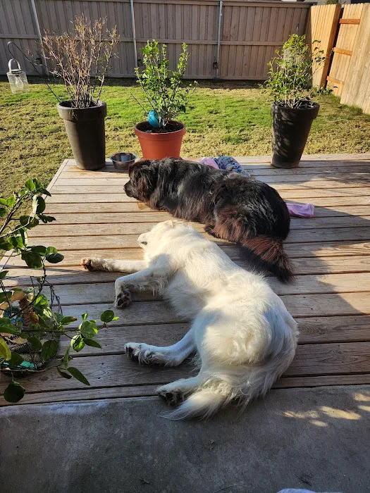 Lansing Veterinary Hospital Picture 3