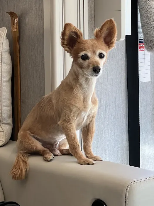 Lansing Veterinary Hospital Picture 1