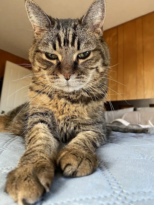 Lansing Veterinary Hospital Picture 2