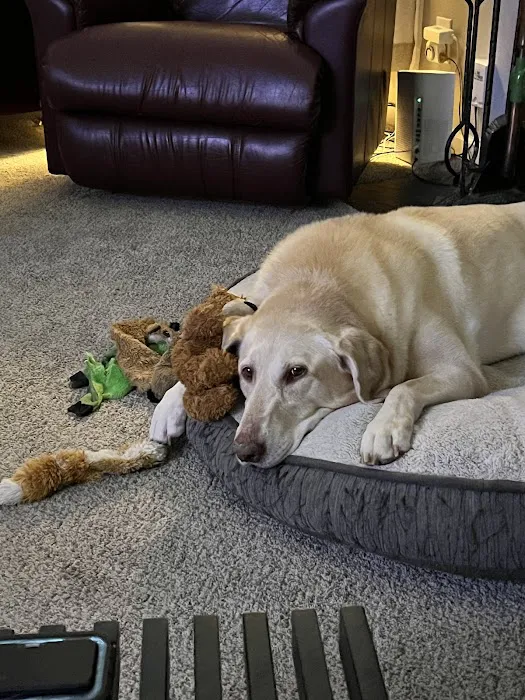 Lansing Veterinary Hospital Picture 4