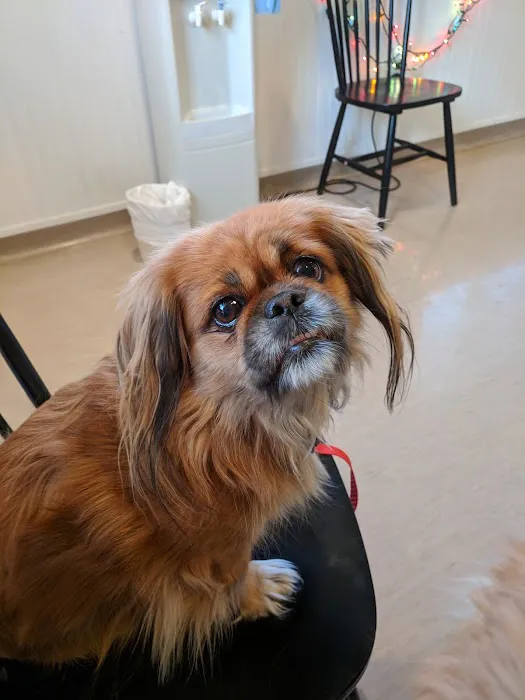 Lansing Veterinary Hospital Picture 5