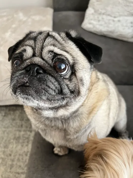 Lansing Veterinary Hospital Picture 7