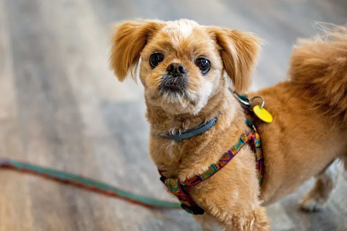 Lansing Veterinary Hospital Picture 9