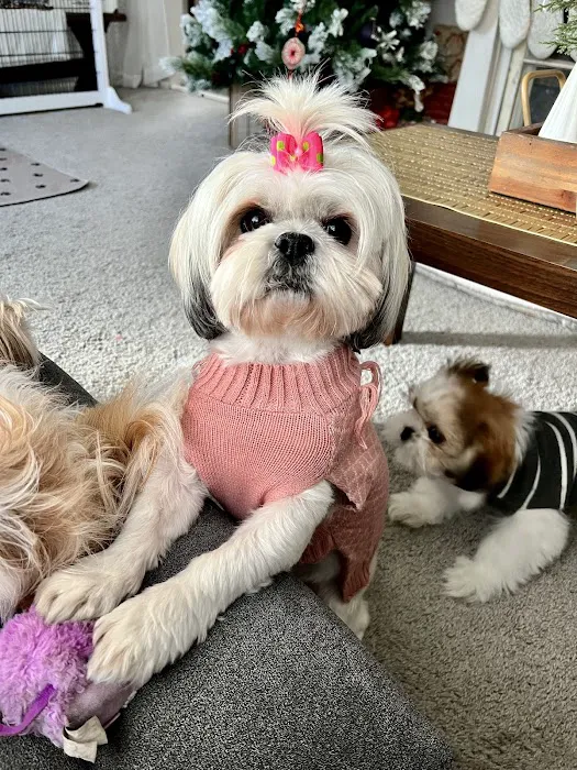 Lansing Veterinary Hospital Picture 8