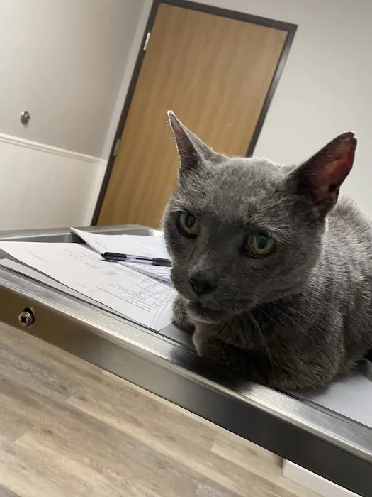 Lansing Veterinary Hospital Picture 10