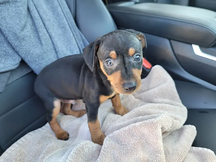 Wolf Creek Veterinary Clinic Picture 1