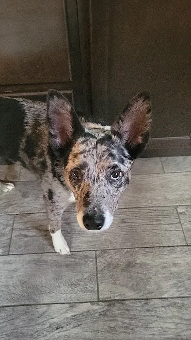 Wolf Creek Veterinary Clinic Picture 3