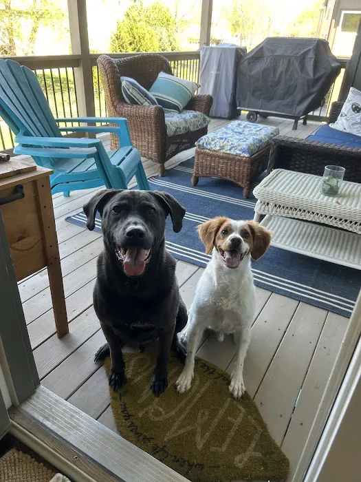 Wolf Creek Veterinary Clinic Picture 5