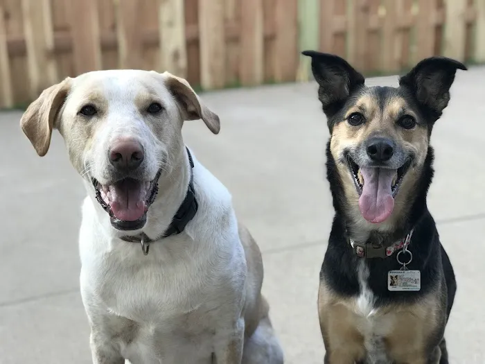 Wolf Creek Veterinary Clinic Picture 4