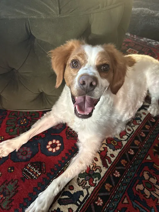 Wolf Creek Veterinary Clinic Picture 2