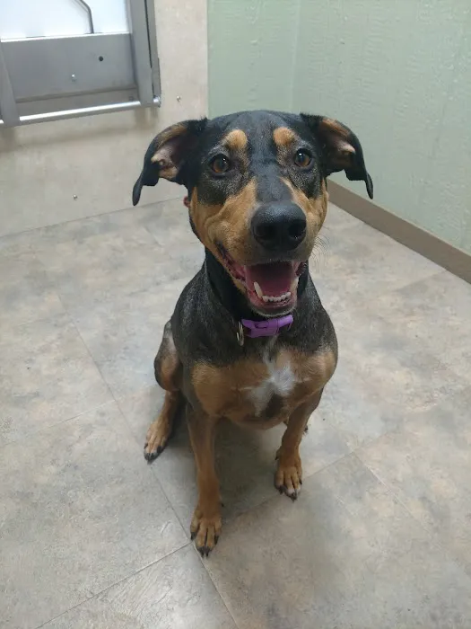 Wolf Creek Veterinary Clinic Picture 9