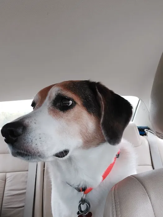 Wolf Creek Veterinary Clinic Picture 6