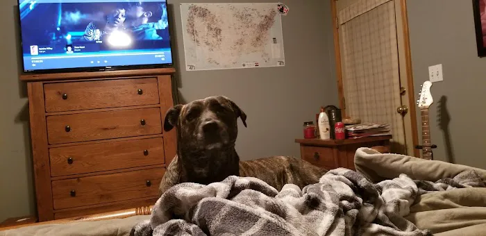 Wolf Creek Veterinary Clinic Picture 10