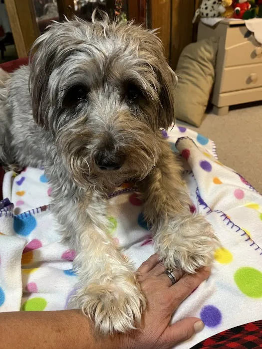 Wolf Creek Veterinary Clinic Picture 8