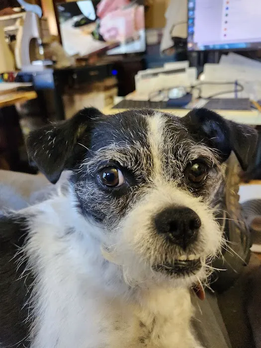 Wolf Creek Veterinary Clinic Picture 7