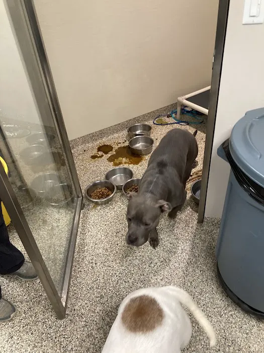 Piper Heritage Veterinary Clinic Picture 3