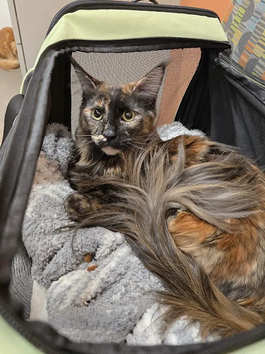 Piper Heritage Veterinary Clinic Picture 2