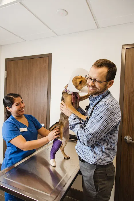 Piper Heritage Veterinary Clinic Picture 7