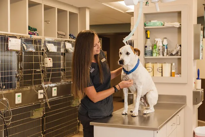 Piper Heritage Veterinary Clinic Picture 9