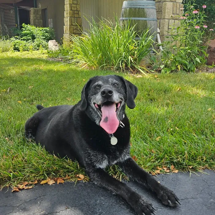 Piper Heritage Veterinary Clinic Picture 8