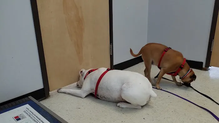 Basehor Veterinary Clinic Picture 5