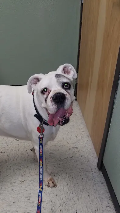 Basehor Veterinary Clinic Picture 4