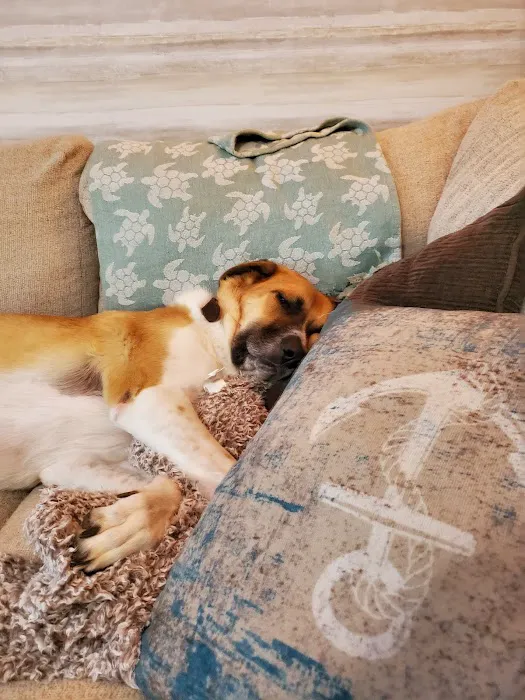 Basehor Veterinary Clinic Picture 8