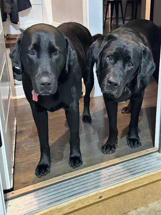 Basehor Veterinary Clinic Picture 9