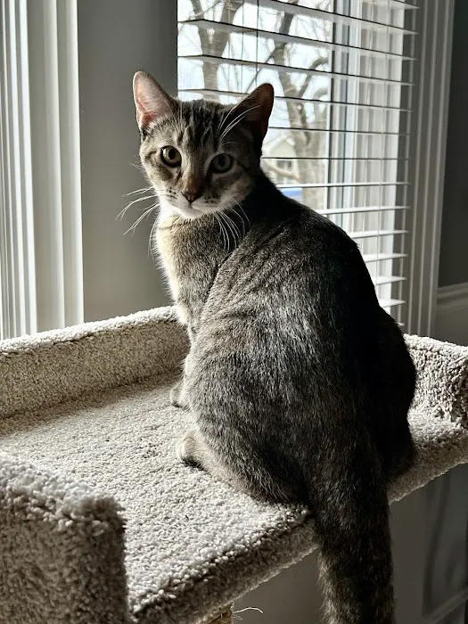 Basehor Veterinary Clinic Picture 10