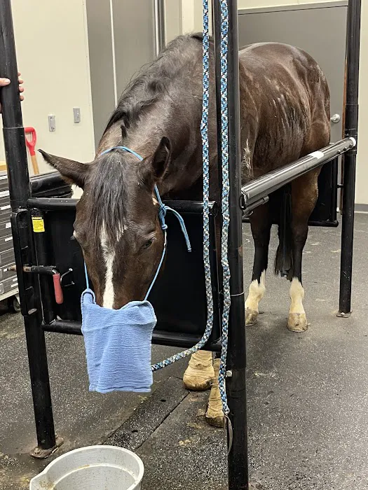 Heartland Equine Hospital Picture 1