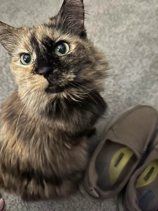 Banfield Pet Hospital Picture 3