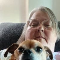 Banfield Pet Hospital ico