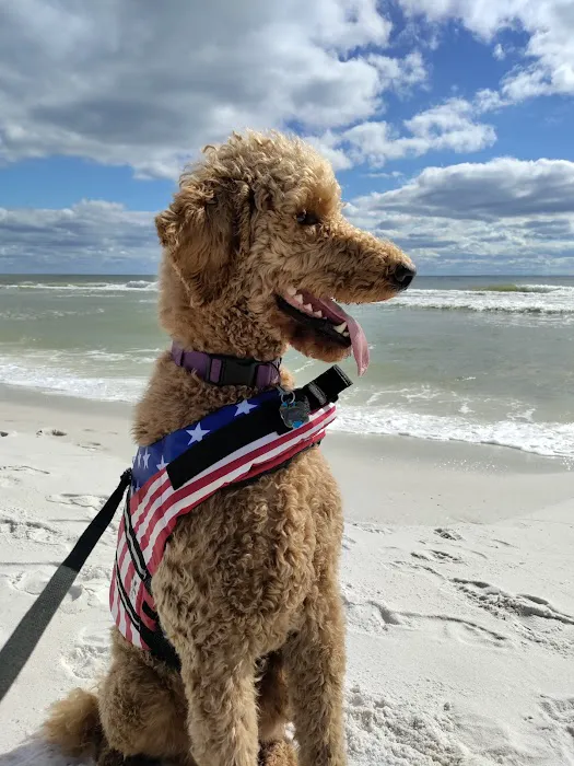 Banfield Pet Hospital Picture 4