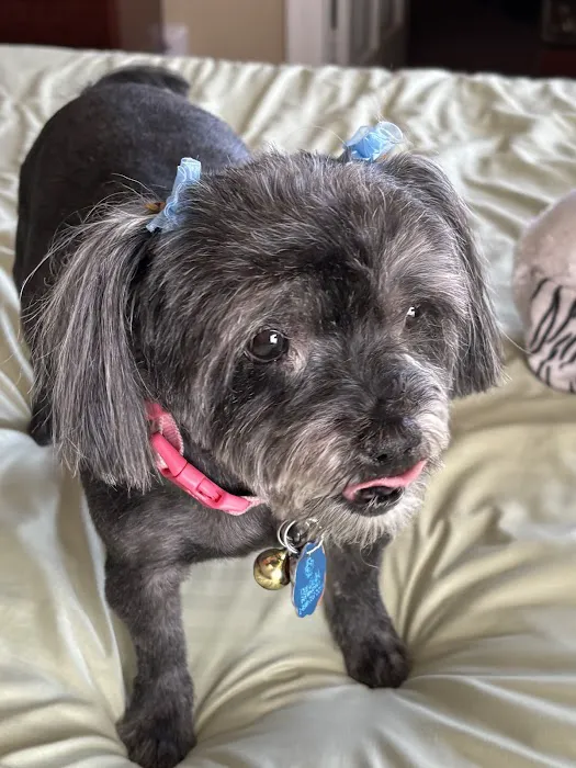 Banfield Pet Hospital Picture 8