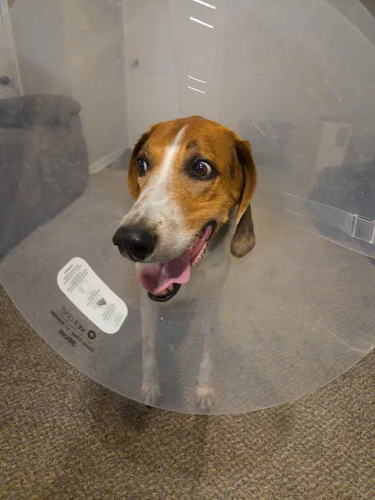 KB Animal Clinic Picture 2