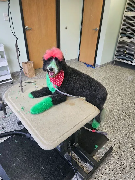 KB Animal Clinic Picture 1